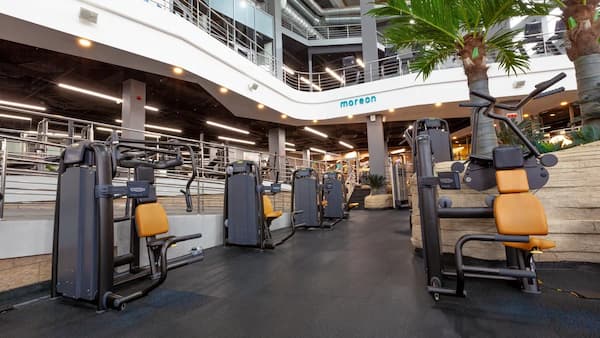 Gym Training